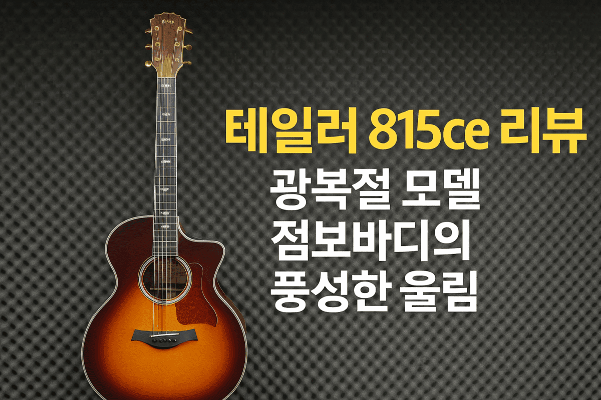 테일러 815ce